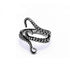 Stainless Steel Octopus Ring