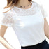 Solid Pattern Lace Crochet Blouse